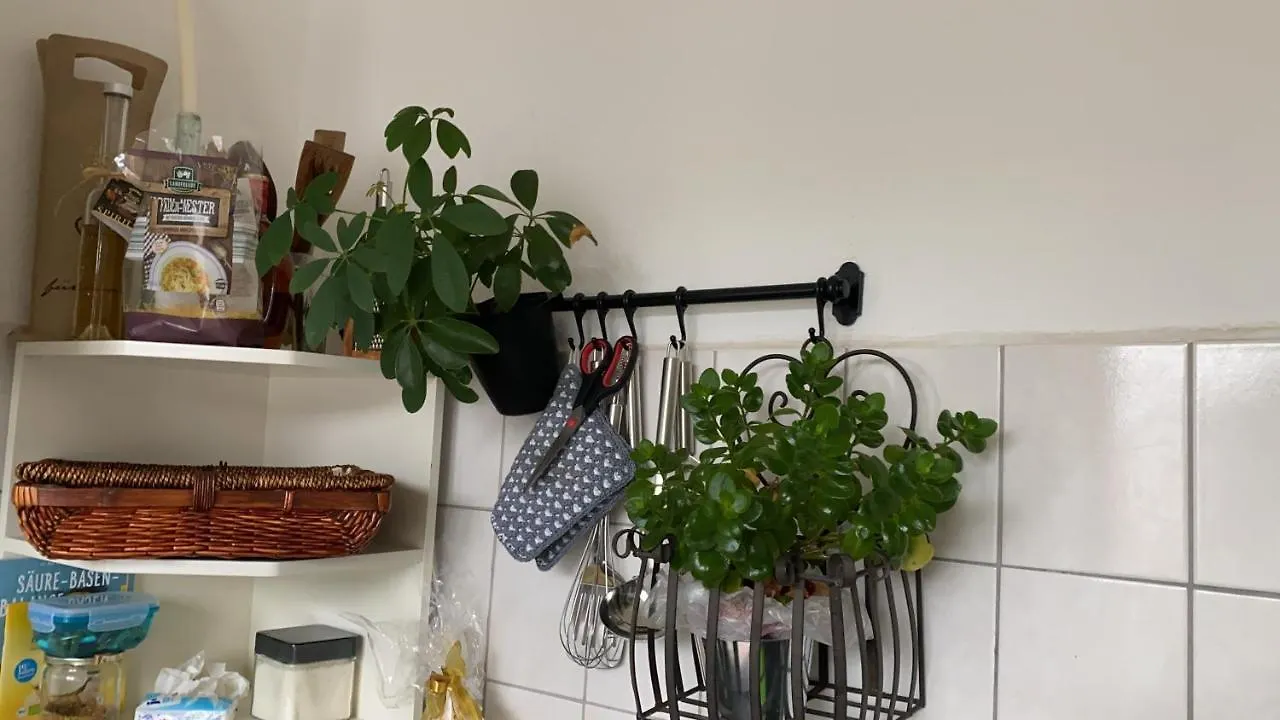 Munich Tree House Apartment